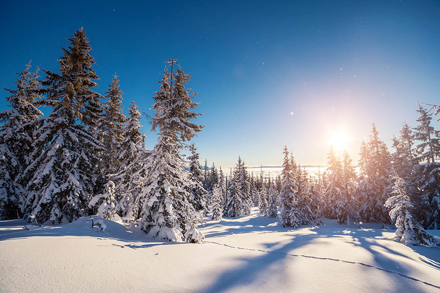 Kilpi-Koskisen talviloma 2024